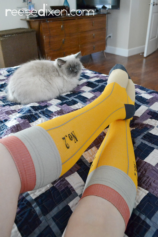 Pencil Socks