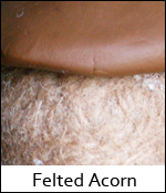Felted Acorn