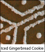 Iced Gingerbread Cookies