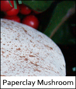 Paperclay Mushroom
