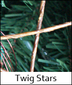 Twig Stars