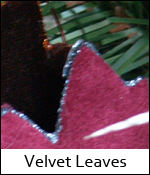 Velvet Leaves