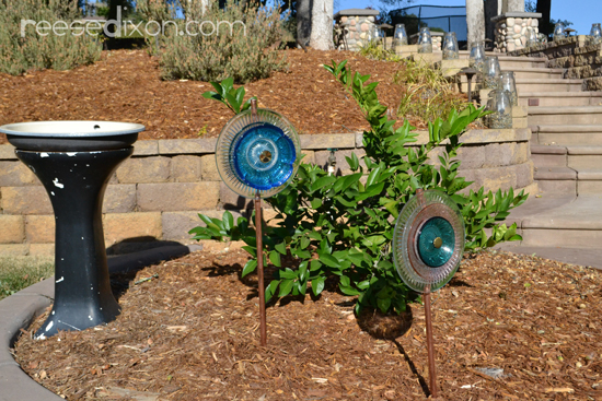 Yard Flowers