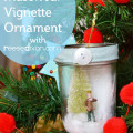 Mason Jar Ornament